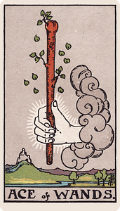 Ace of Wands