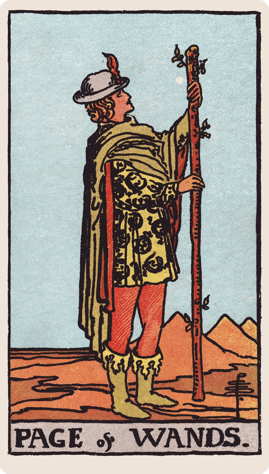 Page of Wands tarot card with its symbols marked