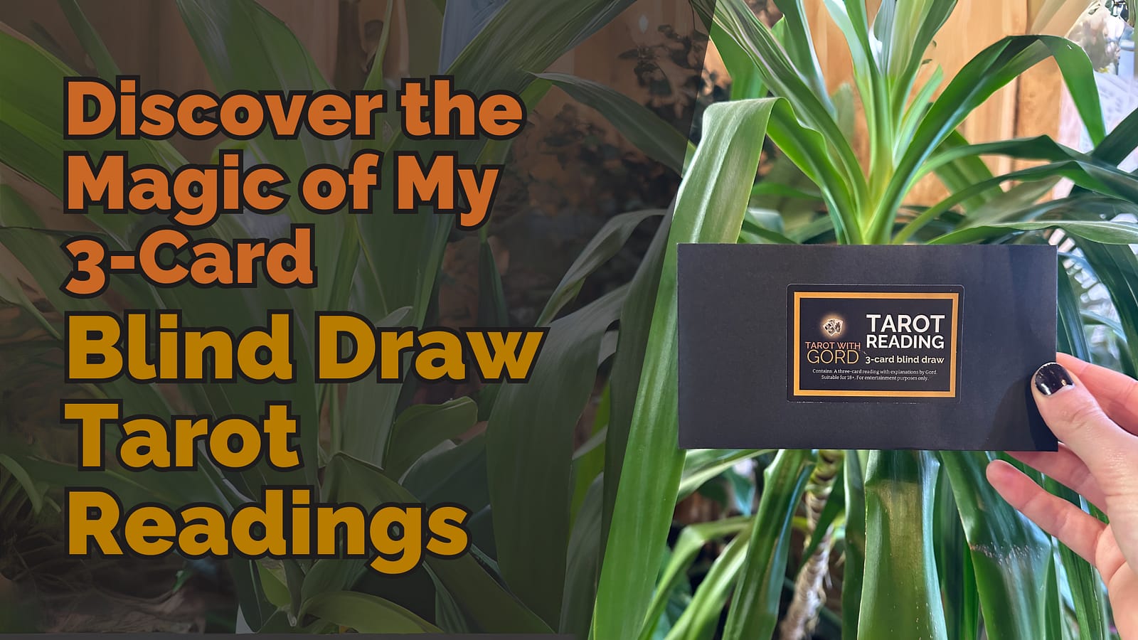 Discover the Magic of My 3-Card Blind Draw Tarot Readings