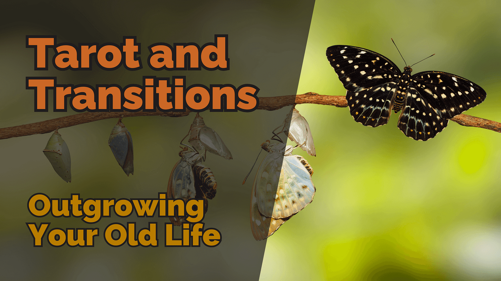 Tarot and Transitions: Outgrowing Your Old Life