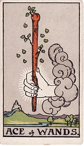 Ace of Wands