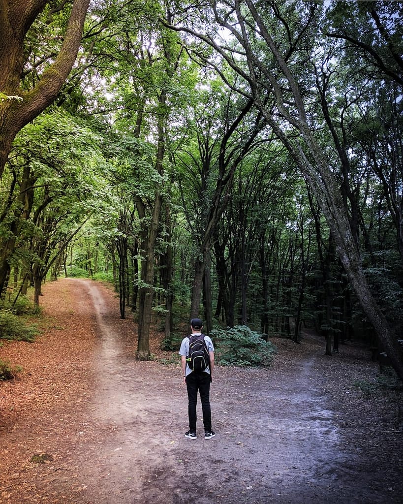 Person standing at a forest crossroads, reflecting the moment of self-awareness and change through the Enneagram and personal growth.