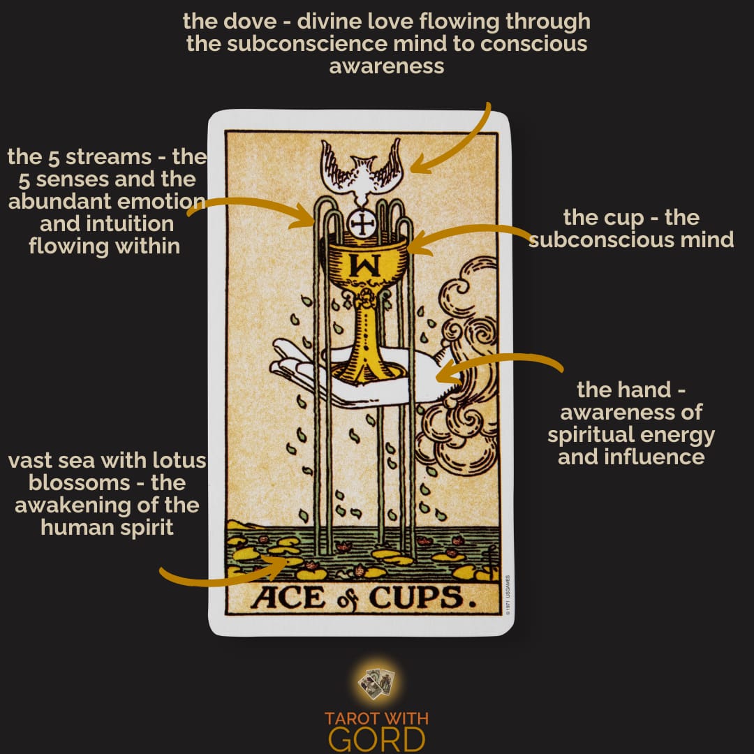 An image of the Ace of Cups tarot card with annotations describing its symbolic elements: "the dove - divine love flowing through the subconscious mind to conscious awareness," "the cup - the subconscious mind," "the hand - awareness of spiritual energy and influence," "the 5 streams - the 5 senses and the abundant emotion and intuition flowing within," and "vast sea with lotus blossoms - the awakening of the human spirit."