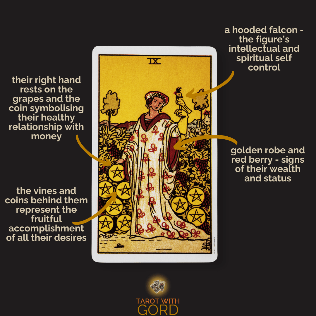 An image of the Nine of Pentacles tarot card with annotations. Their right hand rests on the grapes and the coin, symbolising their healthy relationship with money. The vines and coins behind them represent the fruitful accomplishment of all their desires. A hooded falcon represents the figure’s intellectual and spiritual self-control. The golden robe and red berry signify their wealth and status.