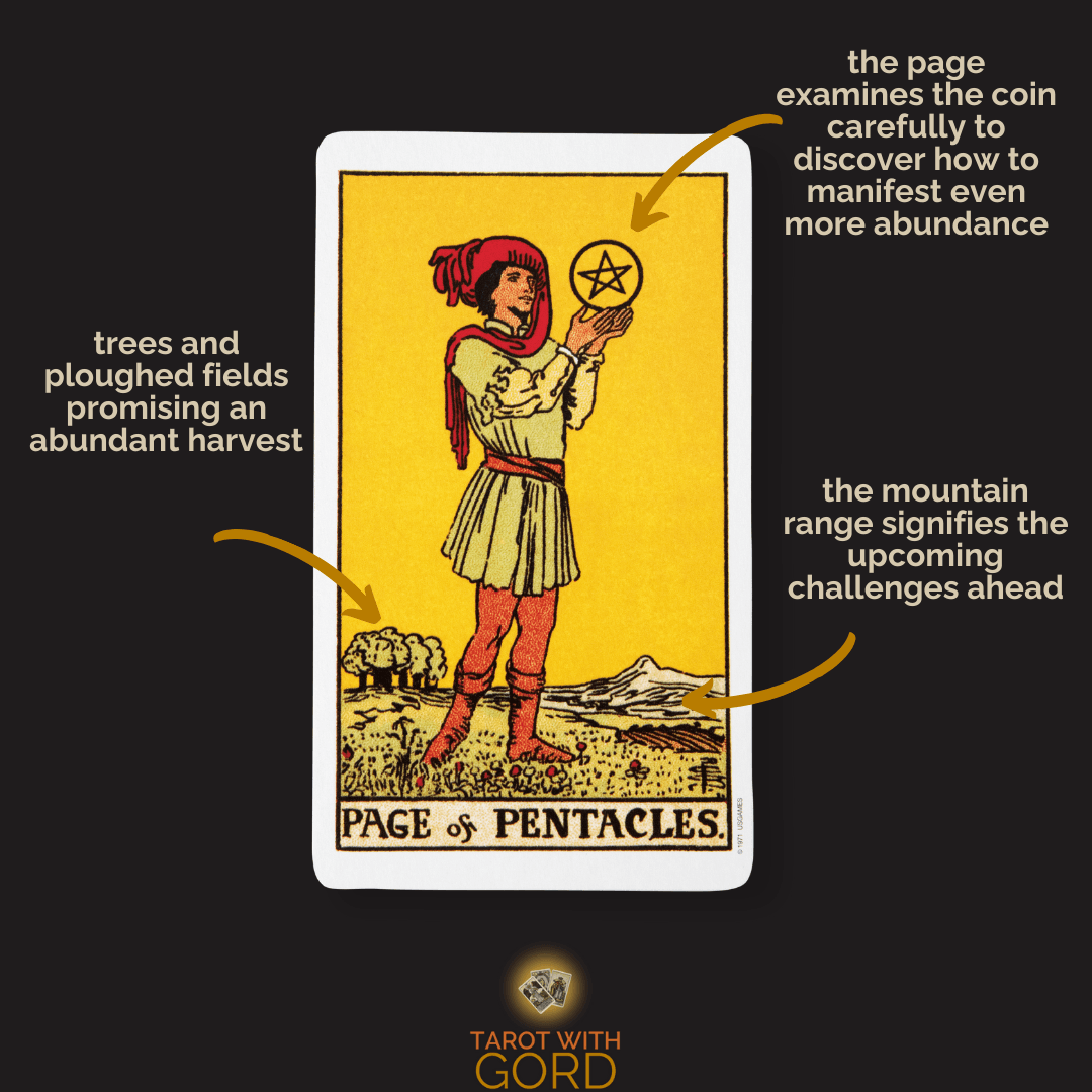 An image of the Page of Pentacles tarot card with annotations. The page examines the coin carefully, aiming to discover how to manifest more abundance. Trees and ploughed fields promise an abundant harvest. The mountain range signifies the upcoming challenges ahead.