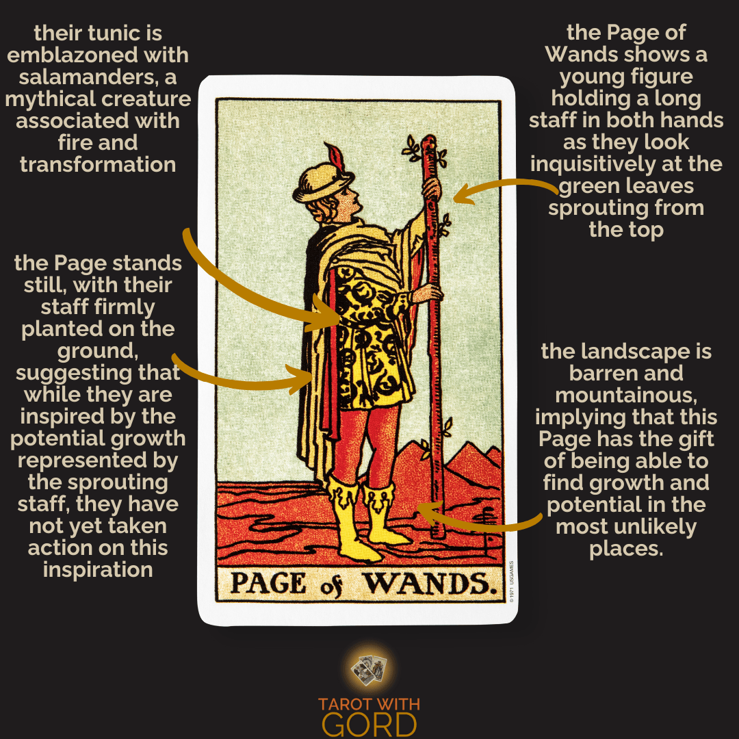 An image of the Page of Wands tarot card with annotations. Their tunic is emblazoned with salamanders, mythical creatures associated with fire and transformation. The Page stands still with their staff firmly planted on the ground, suggesting that while they are inspired by the potential growth symbolised by the sprouting staff, they have not yet taken action on this inspiration. The landscape is barren and mountainous, implying that this Page has the gift of finding growth and potential in the most unlikely places.