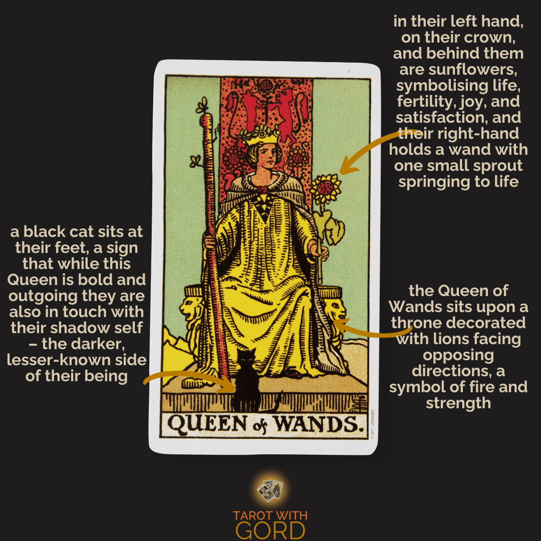 An image of the Queen of Wands tarot card with annotations. A black cat sits at their feet, symbolising awareness of their shadow self. Sunflowers in the background represent life, fertility, joy, and satisfaction, and they hold a wand with a small sprout symbolising growth. Their throne is decorated with lions facing opposite directions, symbolising fire and strength.