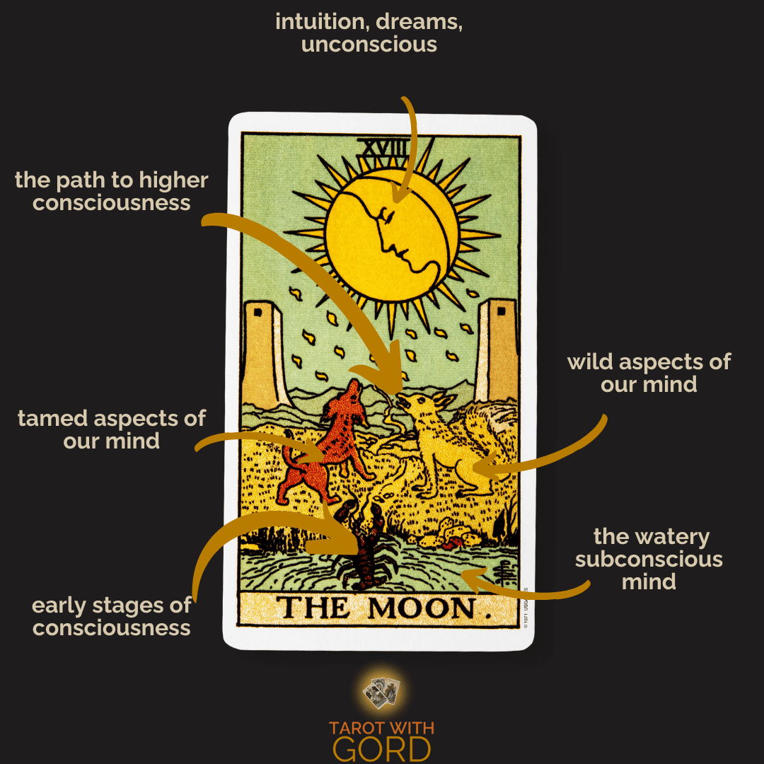 An image of the Moon tarot card with annotations. The moon symbolises intuition, dreams, and the unconscious. The path represents the journey to higher consciousness. The tamed aspects of the mind are represented by the dog, and the untamed aspects by the wolf. The watery subconscious mind and the early stages of consciousness are depicted in the foreground.