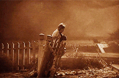 dorothy getting caught up in a tornado in the wizard of oz