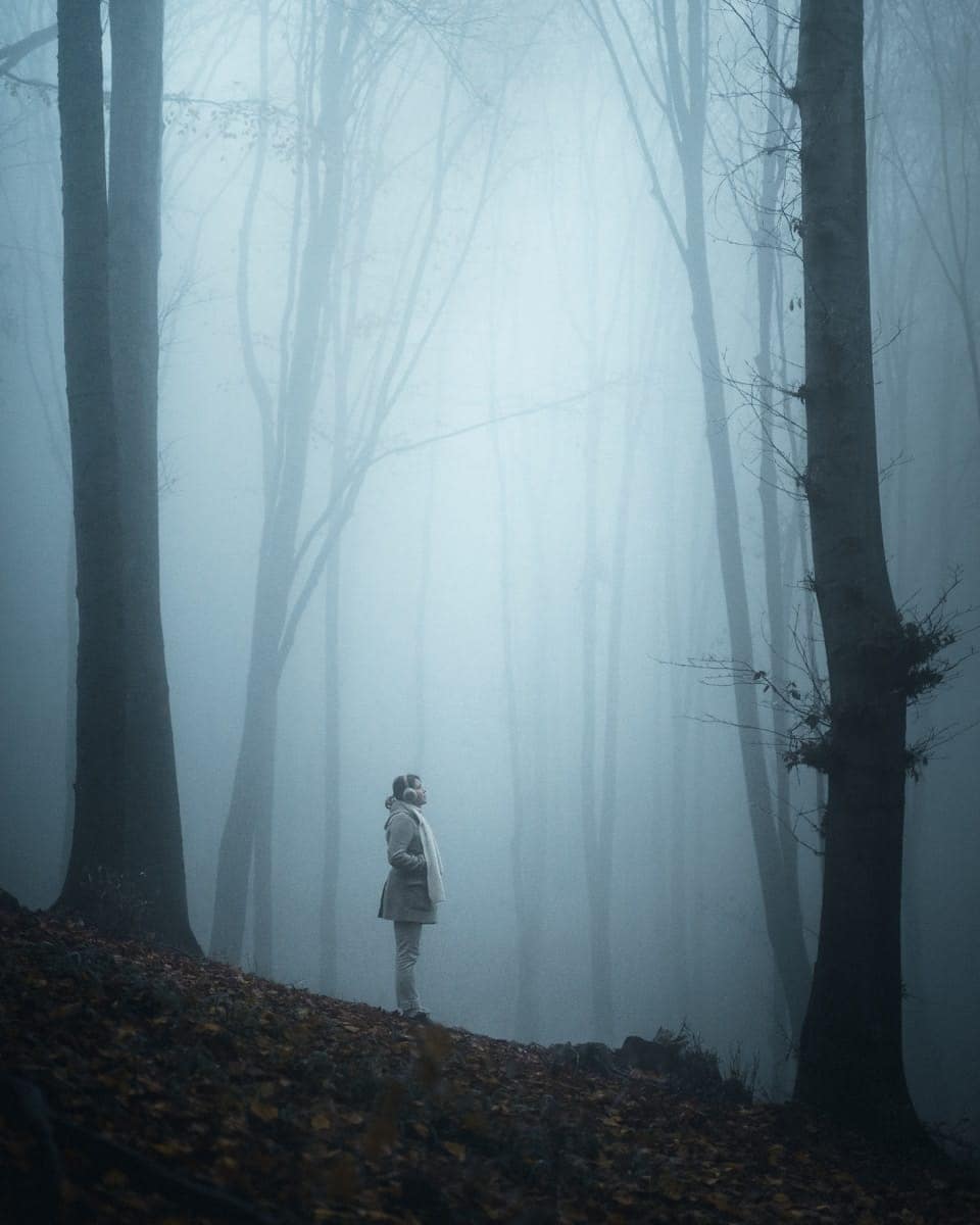 Person standing alone in a foggy forest, symbolising emotional disconnection and the slow, silent spiral Type Nine experiences when drifting from self-awareness.