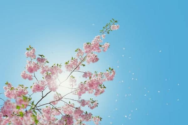 Live Joyfully Everyday – Whatever the Weather 2 image 76