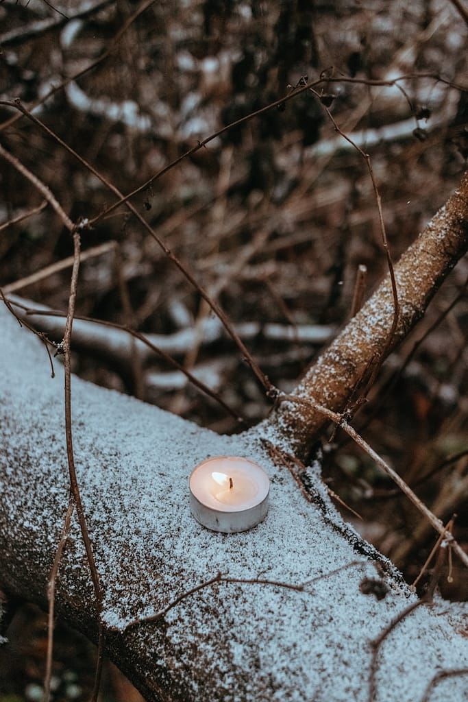 a white candle is sitting on a tree branch